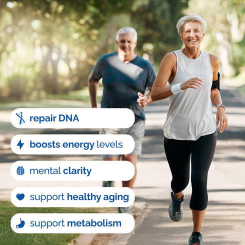 HARMONIFY NAD Supplement (500mg of 95% Pure NAD+ Per Serving, 30-Day Supply) – Vegan, Non-GMO, NAD Booster for Longevity, Anti-Aging, Cellular Health, and Energy